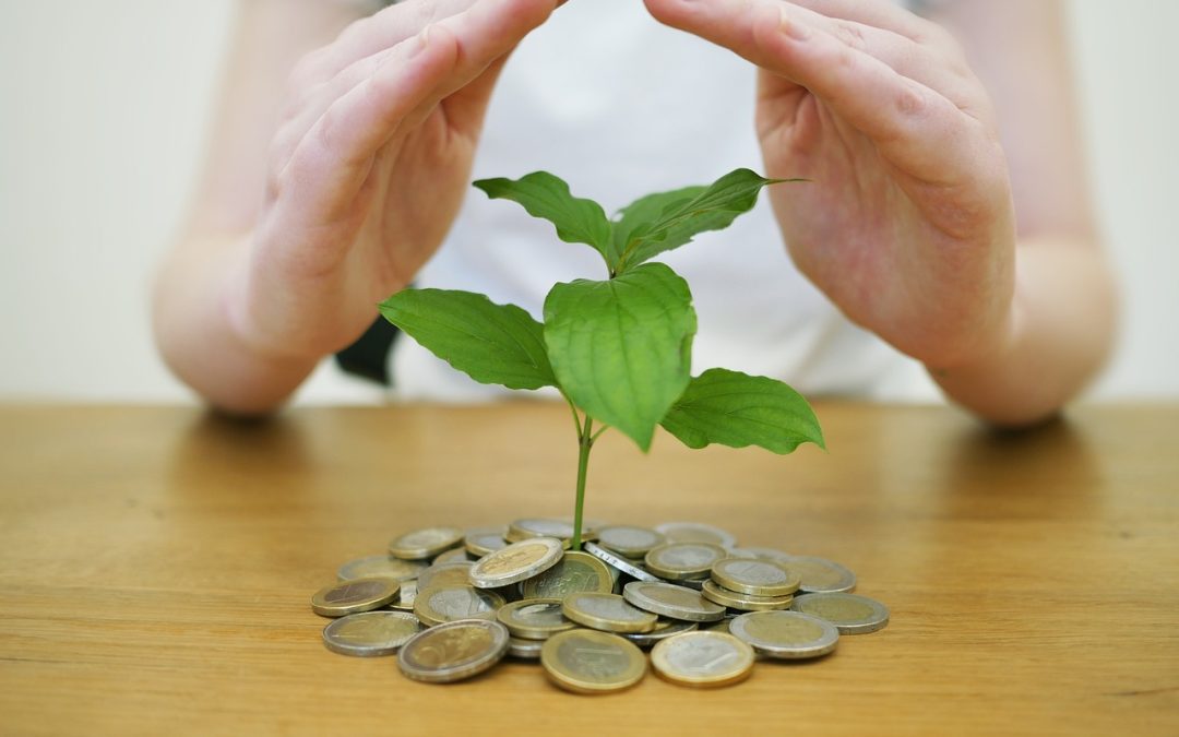 Save Big With These Energy Rebates